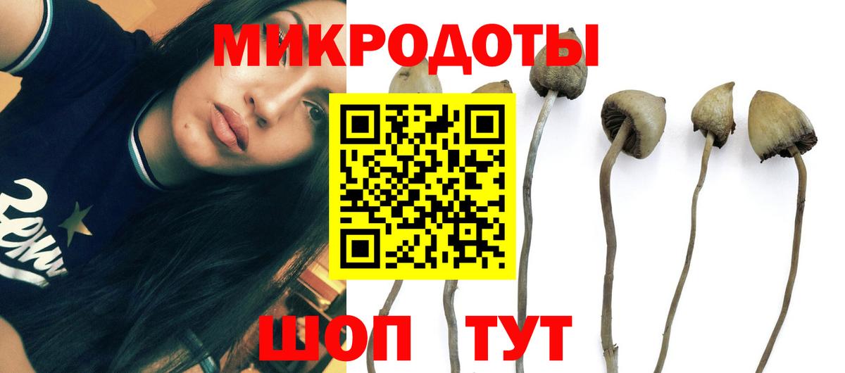Псилоцибиновые грибы мицелий Лениногорск