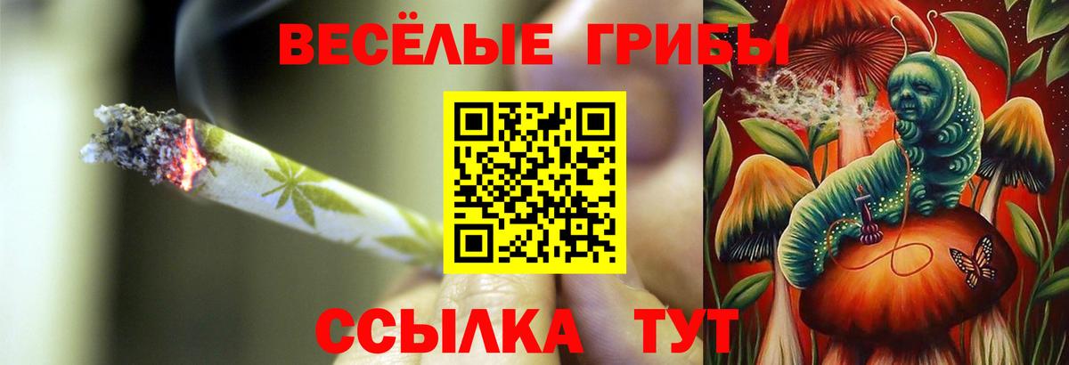 Галлюциногенные грибы MAGIC MUSHROOMS  Вход с VPN  Лениногорск 